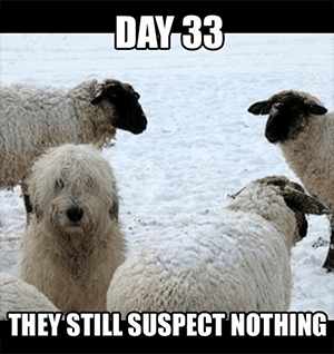 Meme photo "Day 33: They still suspect nothing"