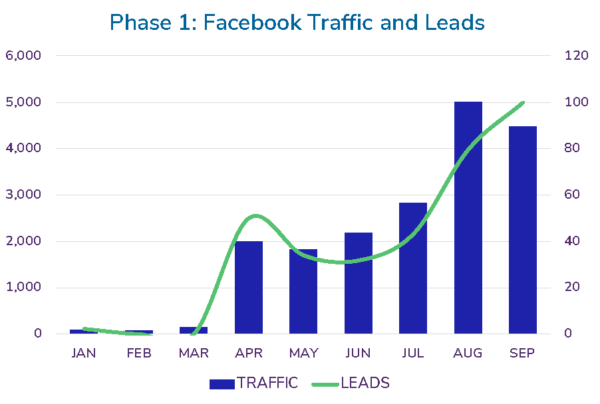 More leads from Facebook in a short time helps increasing revenue through seo