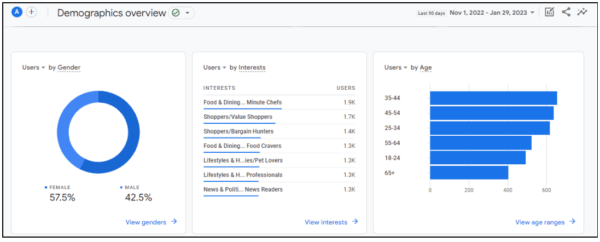 screenshot of sample GA4 demographic overview