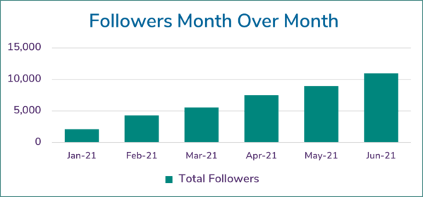 chart showing increases in total followers over six months