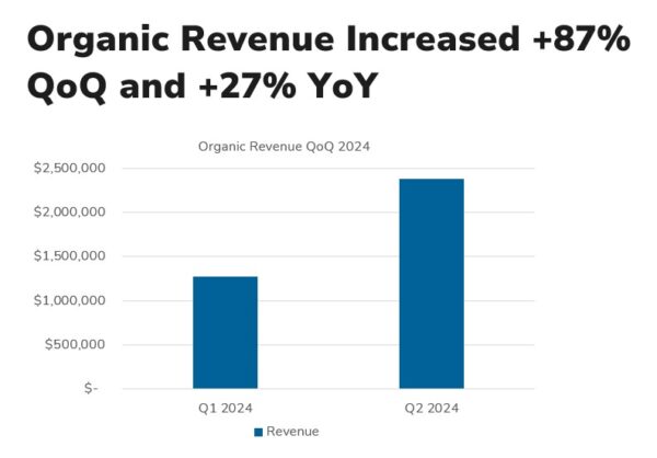 Image of seo case study graph that shows how organic traffic can increase revenue How to Increase Organic Revenue with SEO Case Study