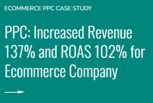 ecommerce ppc case study - media performance audit page