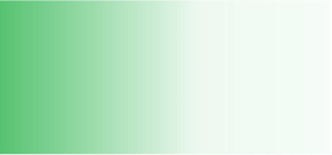 paid media solutions page horizontal green rectangle