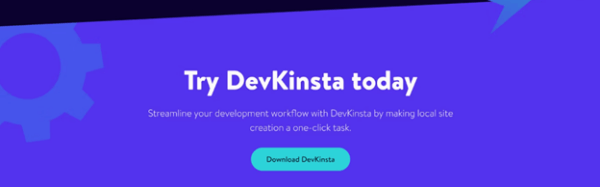 screenshot of the kinsta call-to-action showing a download button