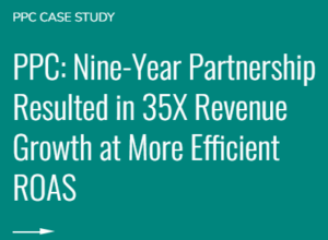 ppc case study - media strategy audit page