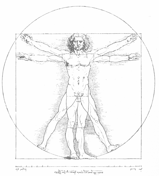 da vinci vitruvian man